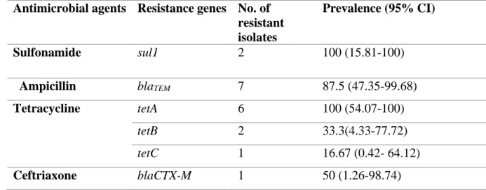TABLE 4.4. The occurrence of antimicrobial resistance genes among Salmonella  isolates [n = 8] from broiler chicken 