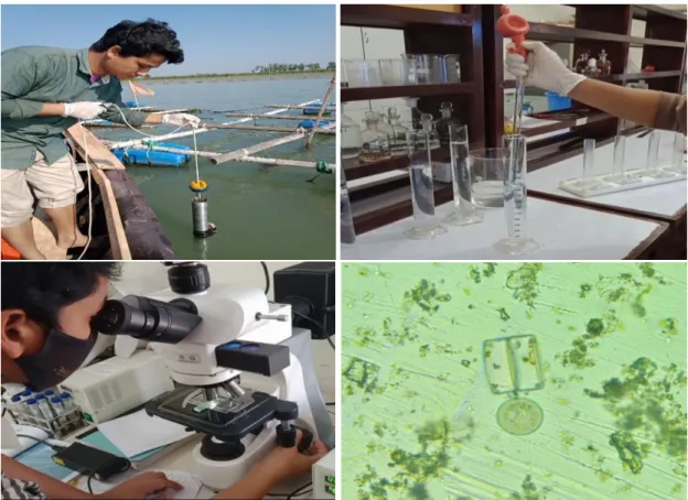 Figure  7.  Estimation  of  water  plankton  abundance  from  water  samples  collected  from three depths and three locations 