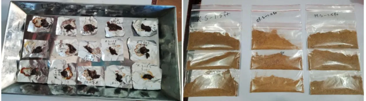 Figure 9. Powder samples for nutritional analysis in the laboratory