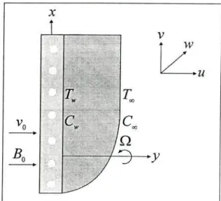 Fig. 1 Physical configuration and coordinate system 