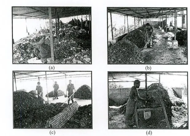Figure 4.18 fypical composting process (a) Sorting of organic waste (b) Piling of waste  using windrow method (c)  Turning  of waste at regular interval (d)  Screening after maturation 