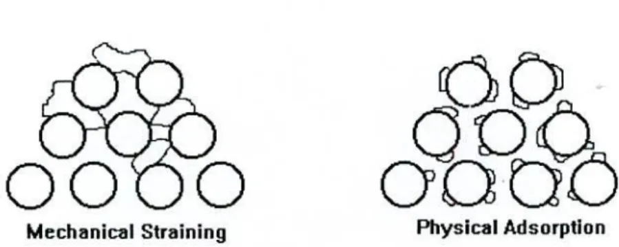 Figure  -  2.6: Schematic of basic filtration principles by D. Schmitt 