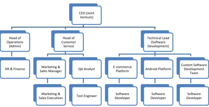 Figure 2.2: Organizational Structure of Constant MD CEO (Joint 