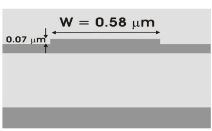 Figure 7.3: Waveguide facets for SOI material system 