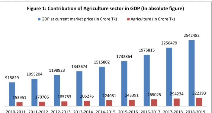 Figure 1: Contribution of Agriculture sector in GDP (In absolute figure)