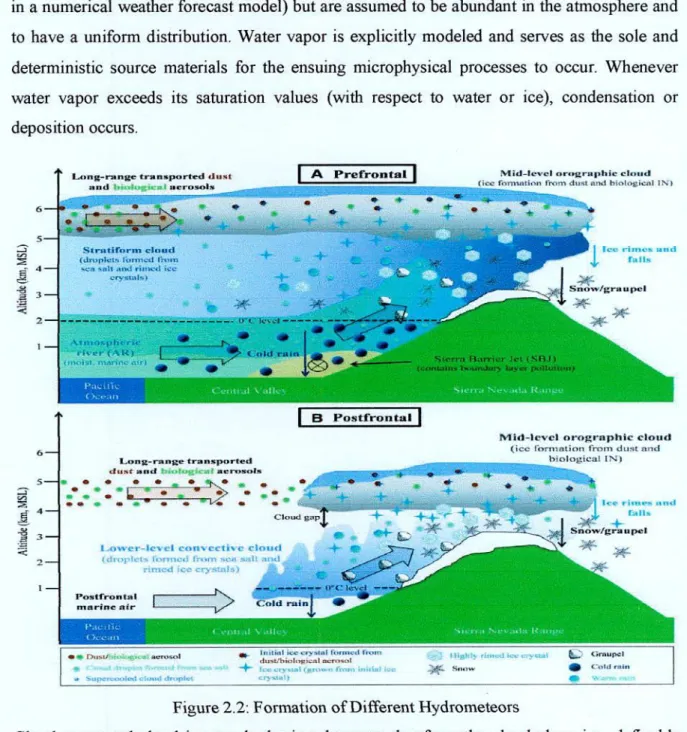 Figure 2.2: Formation of Different Hydrometeors 