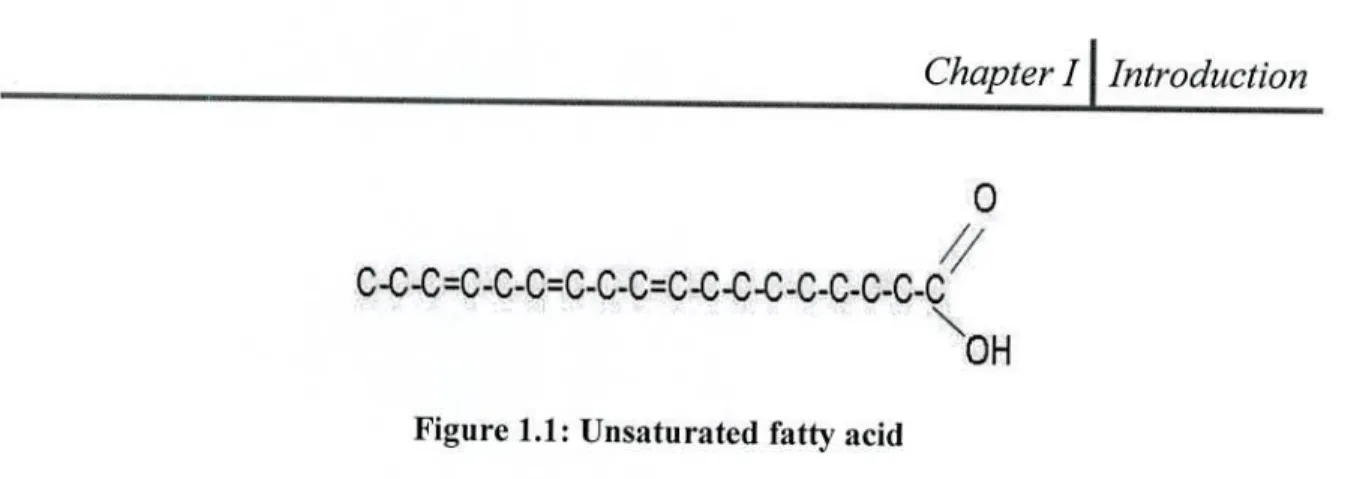 Figure 1.1: Unsaturated fatty acid 