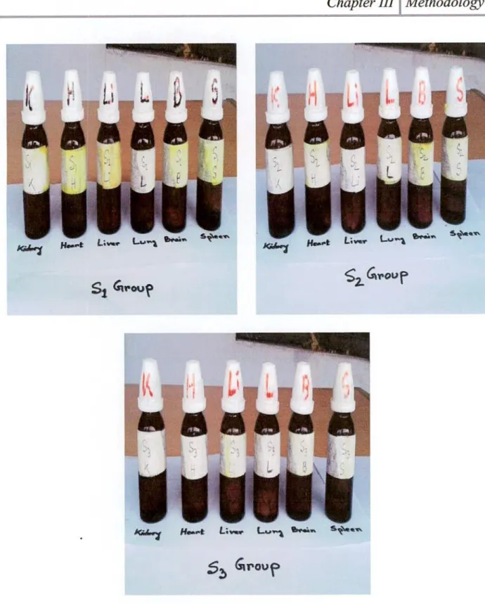 Figure 3.5: Preservation of heated soybean oils treated rabbit organs 