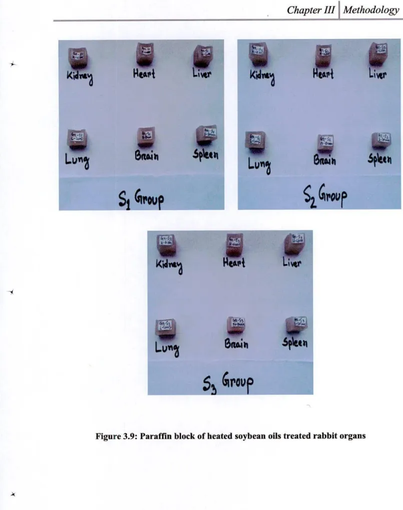 Figure 3.9: Paraffin block of heated soybean oils treated rabbit organs 