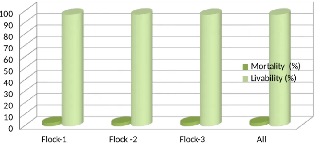 Figure -06 expresses flock wise the graphical presentation of per bird average liability and mortality per cent of broiler farming enterprises