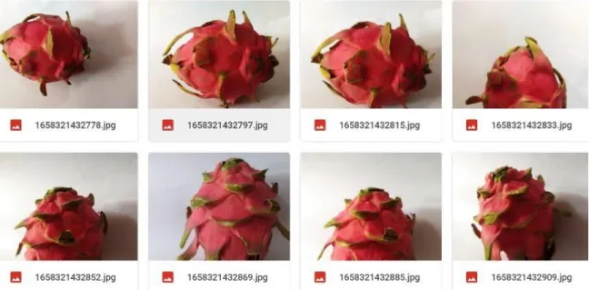 Fig 3.2 Fresh Single Dragon Fruits 