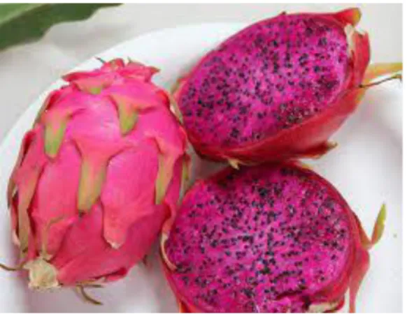 Figure 2: Dragon Fruit  