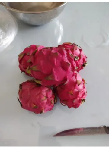 Figure 4 : Dragon Fruit  