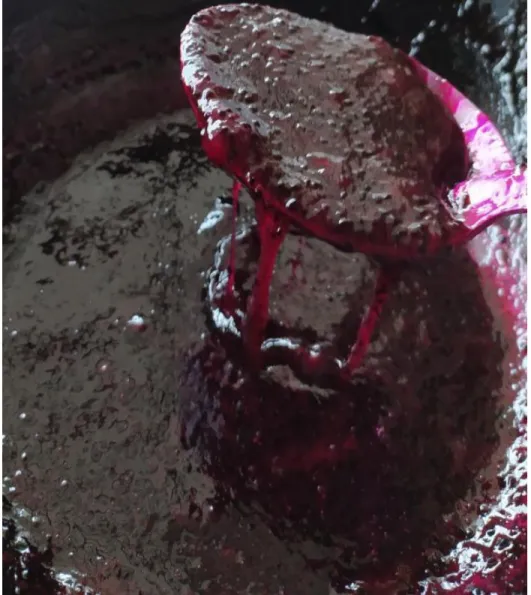 Figure 7: Dragon Fruit Jam  
