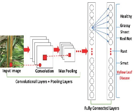 Figure 3.4 CNN for plant leaf disease recognition. 