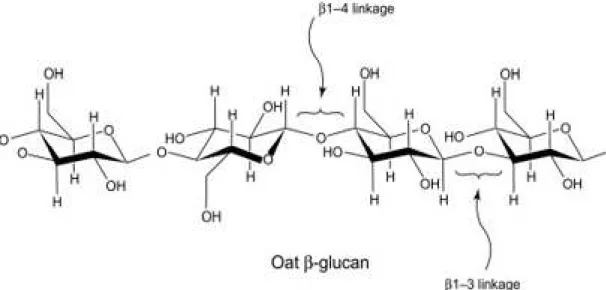 Figure 2.5 Linkage of β – glucan (Menon et al., 2016)  2.3.1 β–glucan’s position in oats 