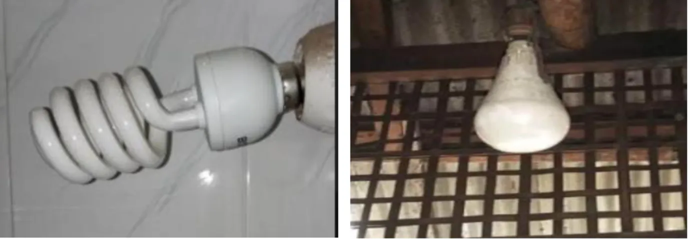 Figure 1: CFL Bulb                                 Figure 2:LED Bulb 