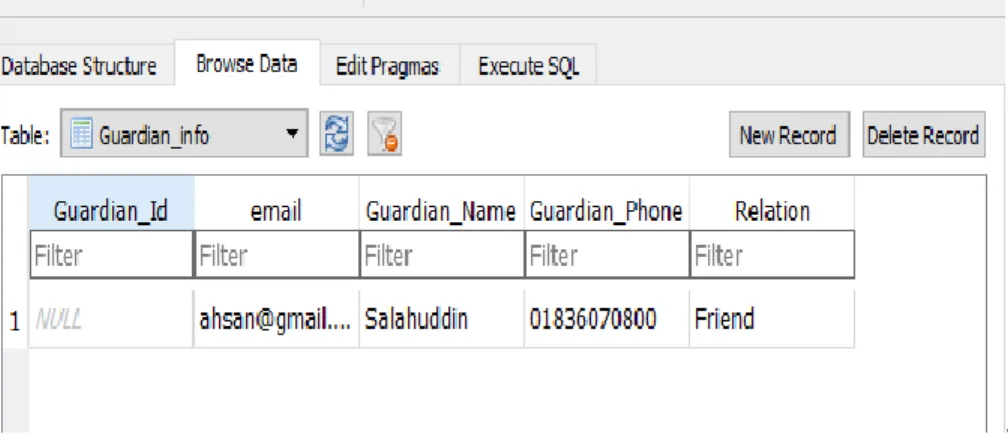 Figure 4.9: Guardian_info in DB Browser. 