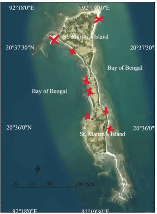 Figure 1: Saint Martin’s Island Sample Sites, marked with red ink. ( Saha, S., Sehrin, S., Ahsan Habib, K., &amp; Abdul  Baki, M