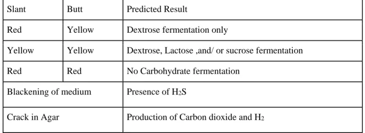 Table 1: TSI result interpretation (The Triple Sugar Iron (TSI) Test – Principle, Procedure, Uses  and Interpretation