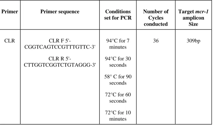 Table 2: PCR conditions utilized for targeted amplification of the mcr-1 gene. 