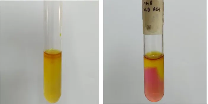 Figure 4: MIU negative (All 3 attributes)   Figure 4.1: MIU positive (All 3 attributes) 