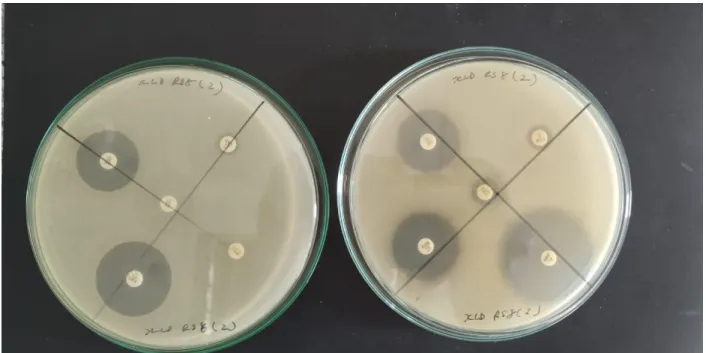 Figure 7 is presented below as a reference. 