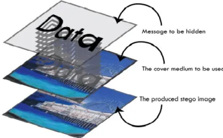 Figure 3.8: Image Steganography