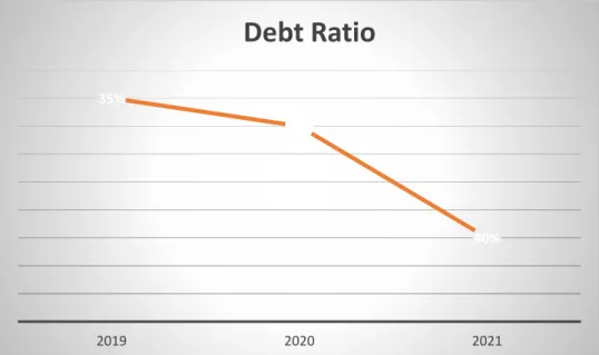 Figure 8: Debt Ratio 