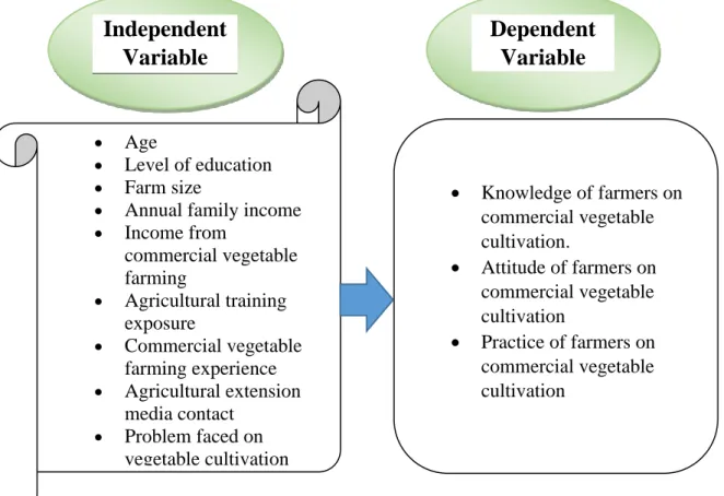 Figure 2.1 Conceptual framework of the study Independent 