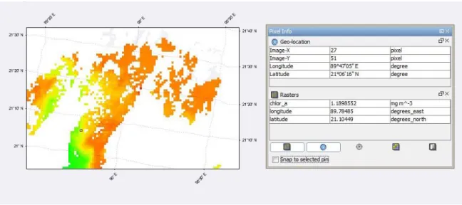Figure 4.4: The Chlorophyll-a Image with Pixel Info-Two   