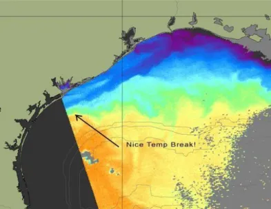Figure 4.9: Sea Surface Temperature Maps (Source: RipCharts)     