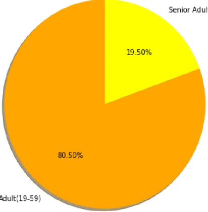 Figure 3. 5 Percentage of adult and non adult people 