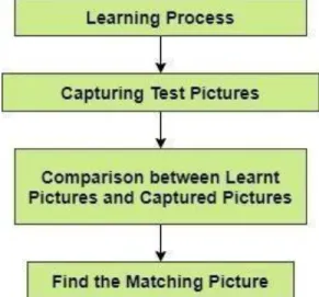 Fig. 2.3: Sequences of vegetable classification.[8] 