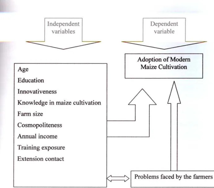 Fig.  2.1 The con ceptu al  mod el  of th e study 