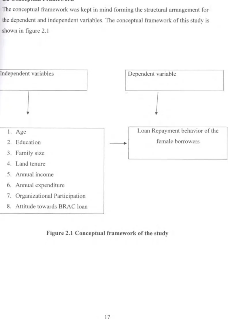 Figure  2.1 Conceptual  framework  of the  study 