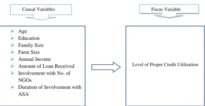 Figure 2.1: Conceptual framework of the study        Causal Variables 