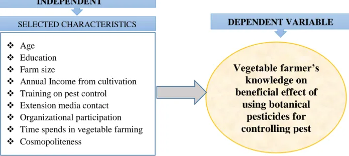 Figure 2.2. The conceptual framework of the study 