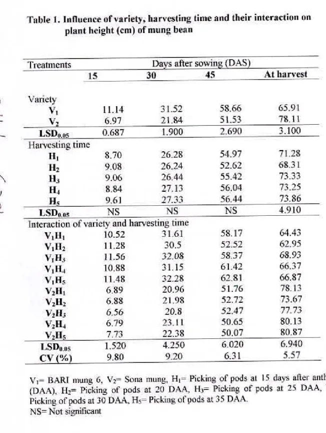 Table 1. Influence of variety, harvesting time and their interaction on  plant height (cm) of mung bean 
