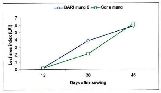Figure 1. Influence of variety on leaf area index of mungbean at different  DAS (LSD0 .05   at 15 and 30 DAS=0.043 and 0.477 respectively) 