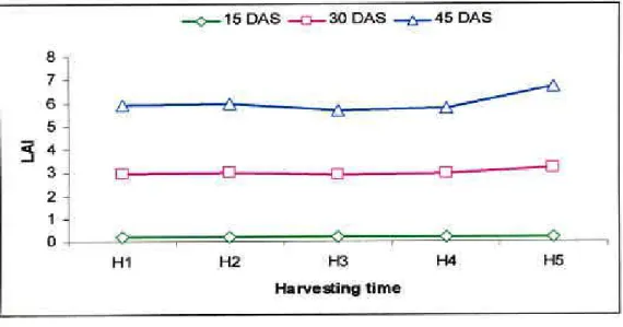Figure  2.  Influence  of harvesting time on leaf area index (LAI) at  different harvesting time (LSD005  at 15 and 30 DAS=0.043  and 0.477 respectively) 