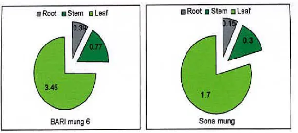 Figure  3(a-b).  Dry matter partitioning of varieties from 15 to  30 days  after  sowing (DAS) 