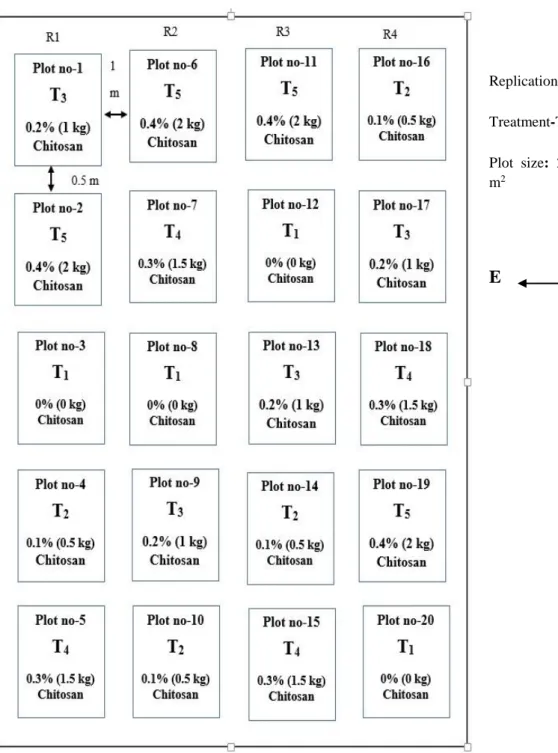 Figure 1. Layout of the Experimental Field 