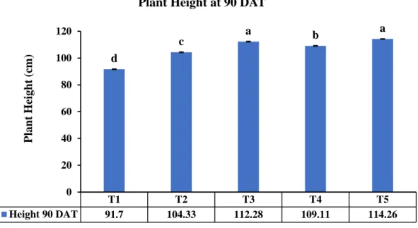 Figure 3: Effect of chitosan raw material powder on plant height (cm) at 90 DAT 