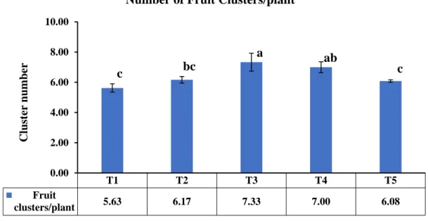 Figure 4: Effect of chitosan raw material powder application on number of  Clusters/plant