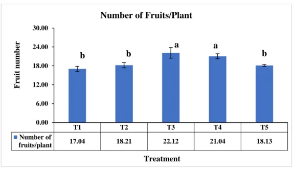 Figure  5:  Effect  of  Chitosan  raw  material  powder  on  number  of  fruits/plant  in  tomato