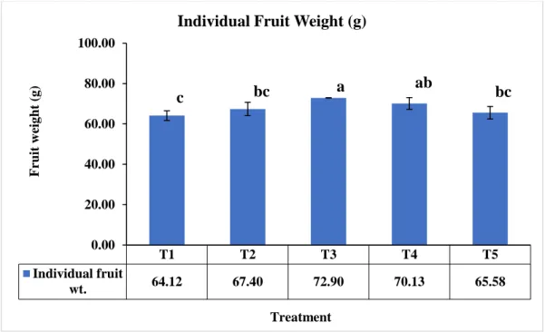 Figure 6: Effect of chitosan raw material powder on individual fruit weight (g) of  tomato