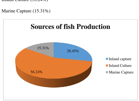 Figure 1.1: Sources of Fish Production 