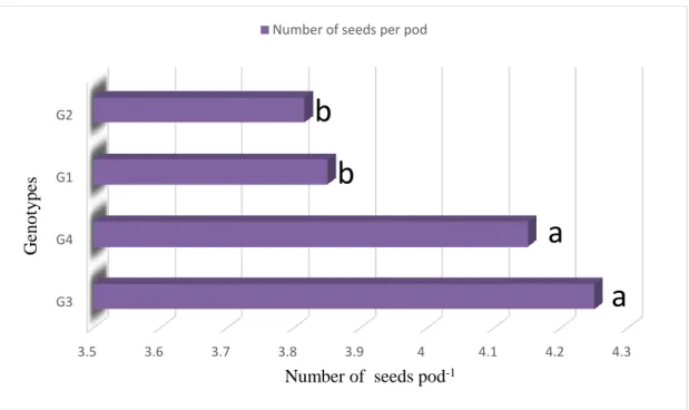 Figure 6. Effect of genotype on number seeds pod -1  of pigeon pea (CV -5.533% 