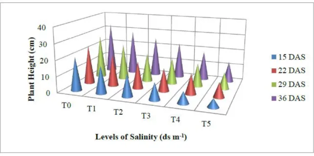 Fig. 2. Effect of levels of salinity on plant height. 